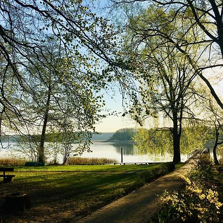 Waldschenke Stendenitz Uebernachten Im Wald Am See 诺伊鲁平 外观 照片