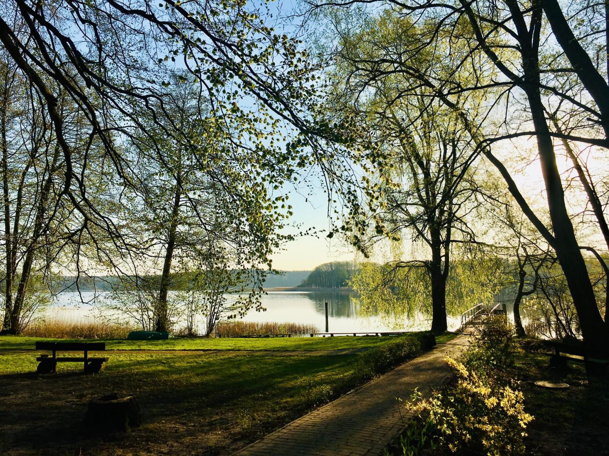 Waldschenke Stendenitz Uebernachten Im Wald Am See 诺伊鲁平 外观 照片